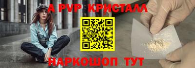 гашик Сланцы