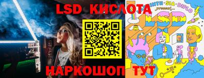 гашик Сланцы