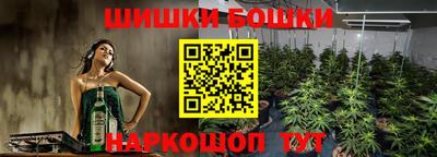 гашик Сланцы