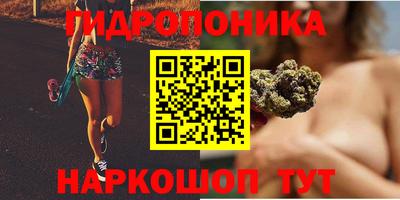 трава Славгород