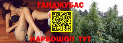 гашик Сланцы