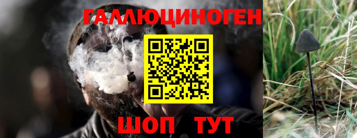 Псилоцибиновые грибы GOLDEN TEACHER  Вход с VPN  Юрга 